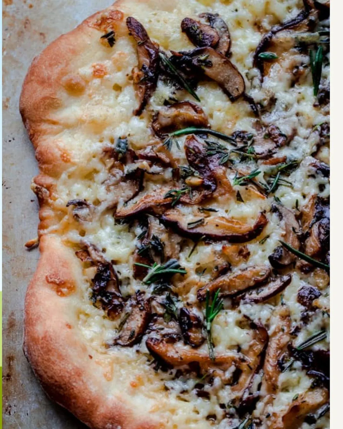 Truffle Mushroom pizza from The Slice Is Right recipe preview library